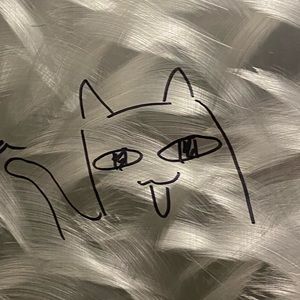 Meet your Posher, Fish